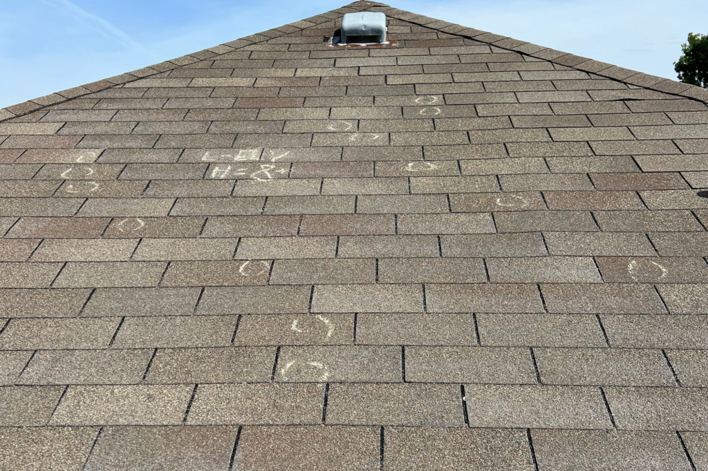 roof inspection